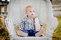 Alexander 18-Months | Champaign, IL Child Portrait Photographer