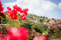 Monique & Robert | Clarendon, Jamaica Wedding Photographer