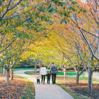 Smith Family Portraits | Champaign Family Portrait Photographer