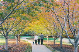 Smith Family Portraits | Champaign Family Portrait Photographer